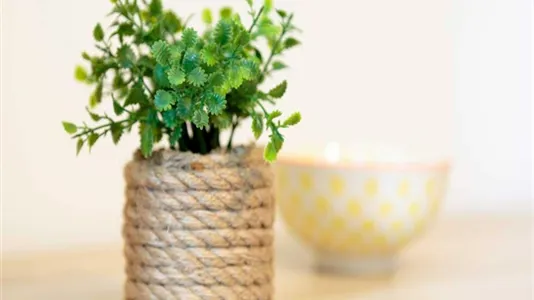 Rooms in Milano Zona 8 - Fiera, Gallaratese, Quarto Oggiaro - photo 1