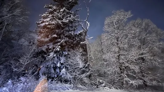 Houses in Tierp - photo 11