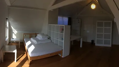 Apartment for rent in Rotterdam