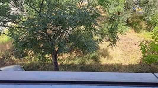 Rooms in Coimbra - photo 4