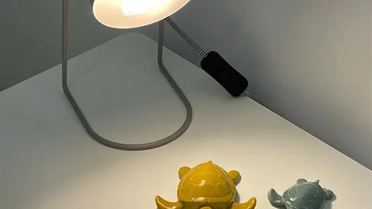 Rooms in Padua - photo 9