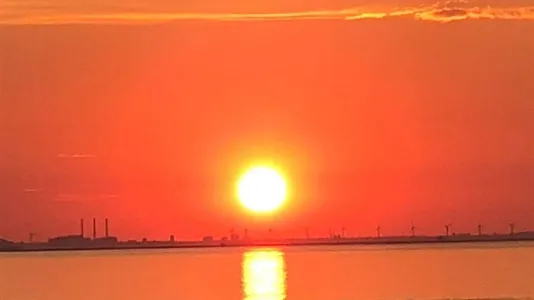 Apartments in Hyllie - photo 6