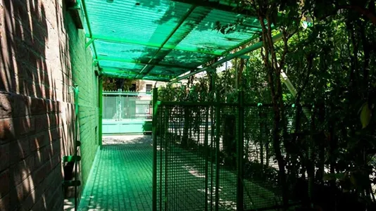 Rooms in Bologna - photo 9