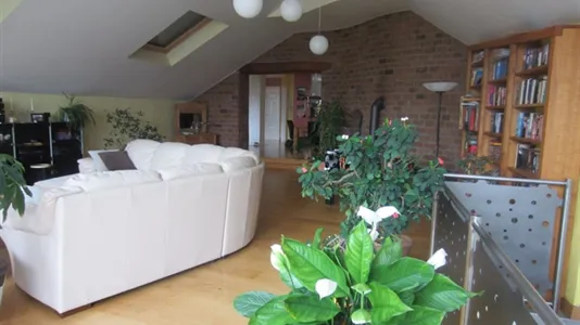 Apartments in Bernkastel-Wittlich - photo 9