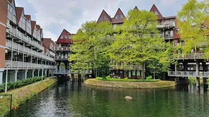 Apartment for rent in Rotterdam Noord, Rotterdam