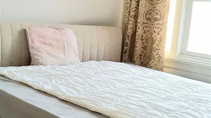 Room for rent in The Hague