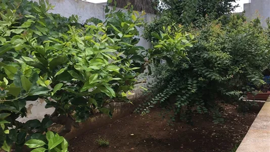 Houses in Taviano - photo 9