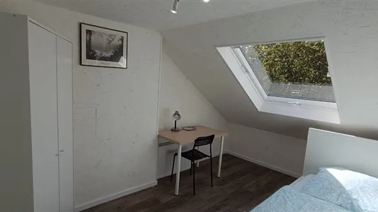 Rooms in Dortmund - photo 3