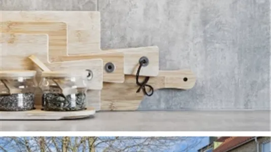 Apartments in Landskrona - photo 15