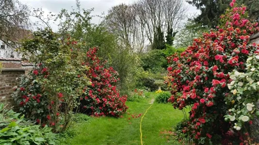 Rooms in Brussels Anderlecht - photo 2