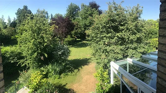 Rooms in Hamburg Wandsbek - photo 4