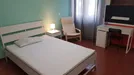 Room for rent, Pisa, Toscana, Piazza Giuseppe Toniolo, Italy