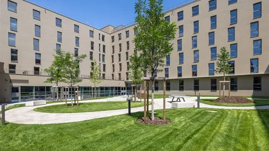 Apartments in Eggersdorf bei Graz - photo 9