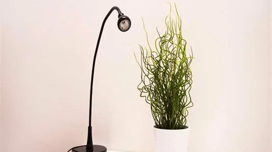 Rooms in Milano Zona 6 - Barona, Lorenteggio - photo 5