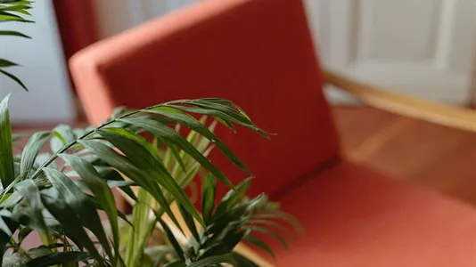 Apartments in Turin - photo 5