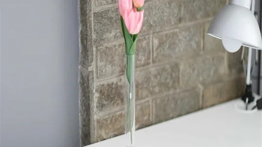 Rooms in Milano Zona 1 - Centro storico - photo 5