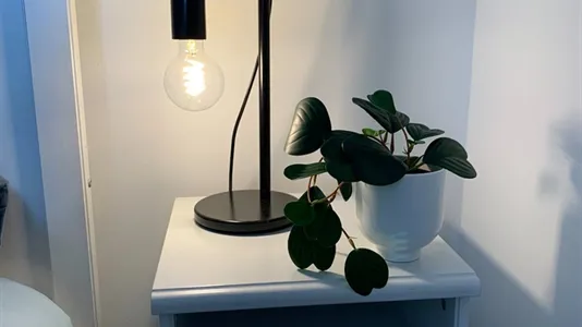 Apartments in Stad Brussel - photo 5