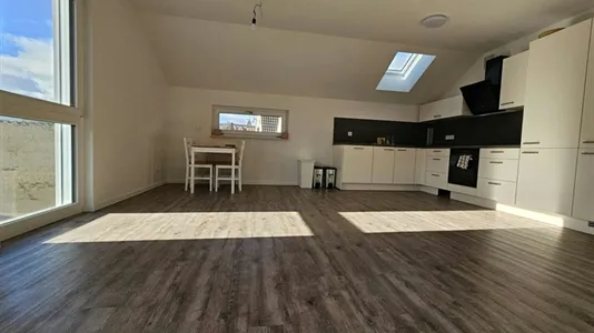 Apartments in Bad Dürkheim - photo 3