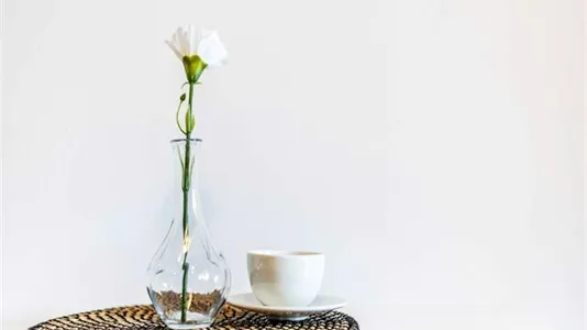 Rooms in Padua - photo 8