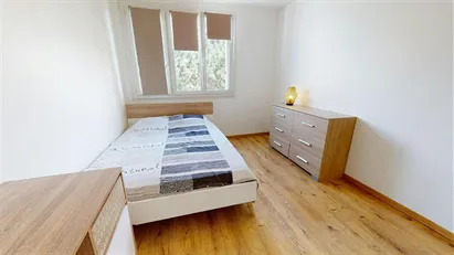 Room for rent in Lyon, Auvergne-Rhône-Alpes