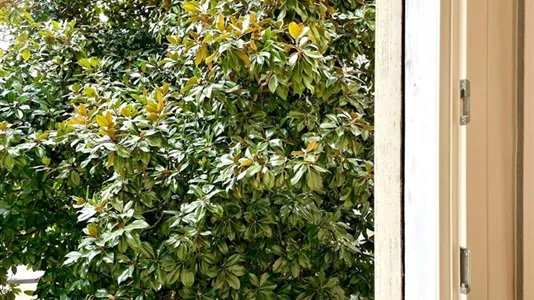 Apartments in Padua - photo 5