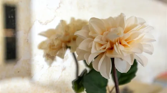 Apartments in Location is not specified - photo 7