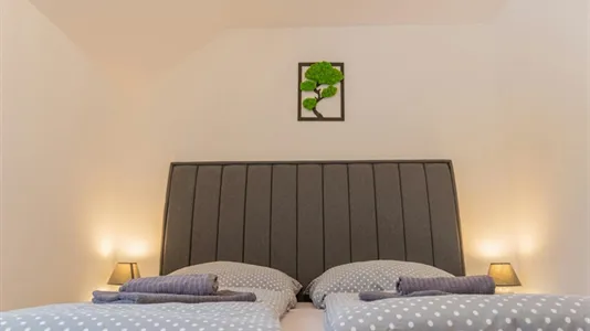 Apartments in Český Krumlov - photo 3