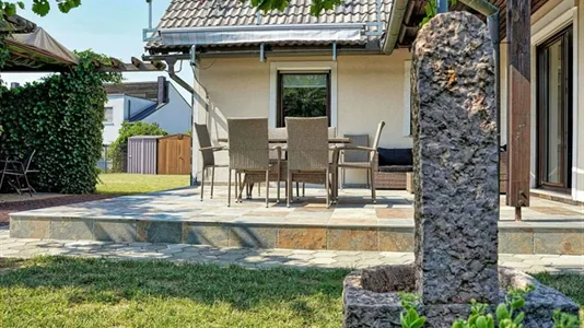 Houses in Maribor - photo 8