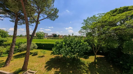 Rooms in Padua - photo 6