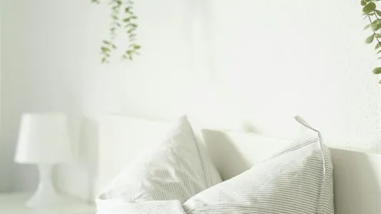 Apartments in Braunschweig - photo 9