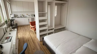 Room for rent in Valencia Poblats Marítims, Valencia (region)