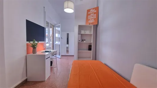 Rooms in Roma Municipio VIII – Appia Antica - photo 2
