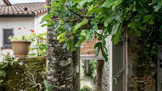 Houses in La Spezia - photo 2