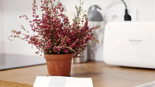 Rooms in Barcelona Sants-Montjuïc - photo 4