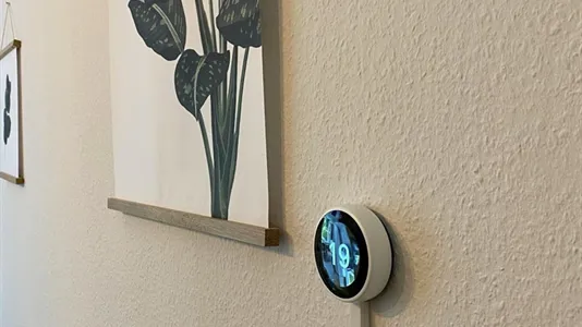 Rooms in Brussels Sint-Lambrechts-Woluwe - photo 10