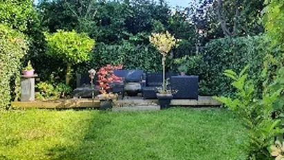 Room for rent in Rotterdam