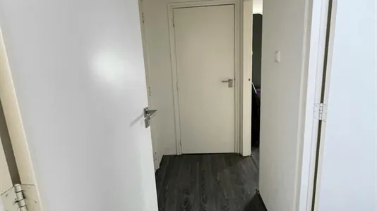 Apartments in Rotterdam Charlois - photo 5