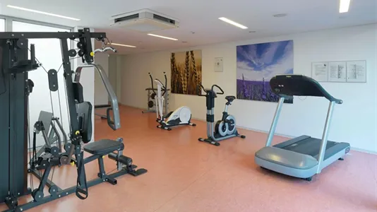 Apartments in Dresden - photo 7