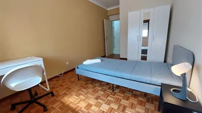 Room for rent in Castelo Branco, Castelo Branco (Distrito)