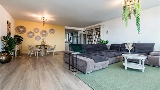 Apartments in Zandvoort - photo 3