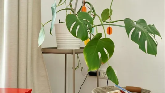 Apartments in Berlin Pankow - photo 9