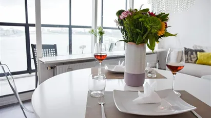Apartment for rent in Rotterdam