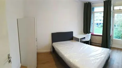 Room for rent in Leiden, South Holland