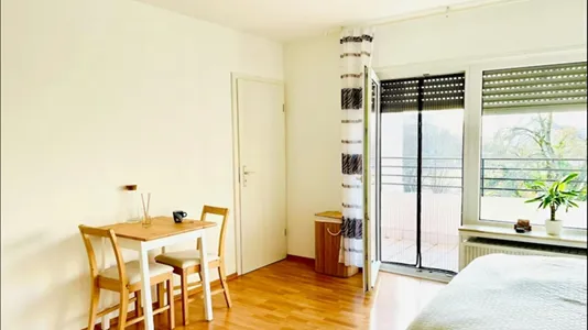 Apartments in Heidelberg - photo 6