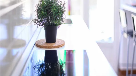 Rooms in Milano Zona 2 - Stazione Centrale, Gorla, Turro, Greco, Crescenzago - photo 4