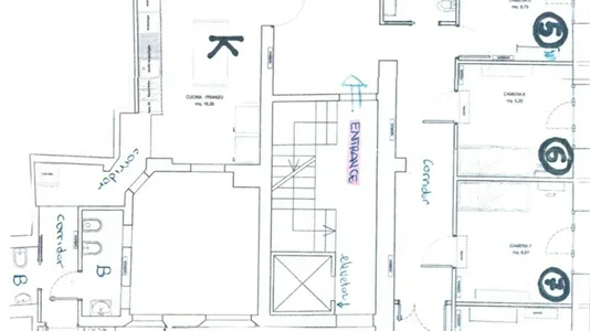 Rooms in Bologna - photo 1