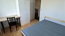 Room for rent, Ludwigsburg, Baden-Württemberg, Donaustraße, Germany