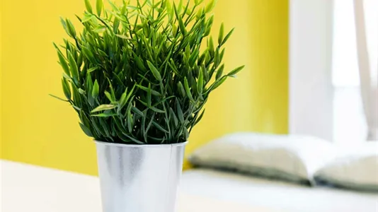 Rooms in Milano Zona 1 - Centro storico - photo 6