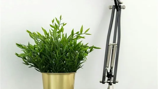 Rooms in Budapest Erzsébetváros - photo 10