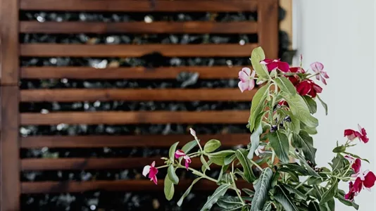 Rooms in Florence - photo 8